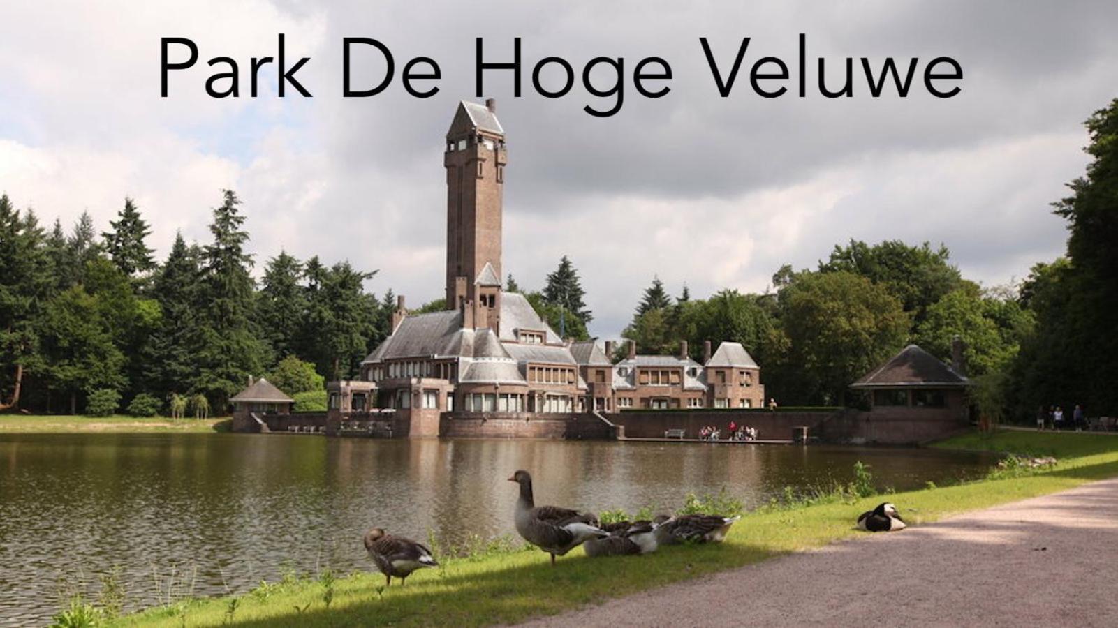 Omheind Natuurhuisje, Prive En Licht, Voorthuizen Veluwe, Naast Het Bos, Zeer Rustig المظهر الخارجي الصورة